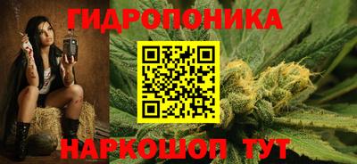индика Обнинск