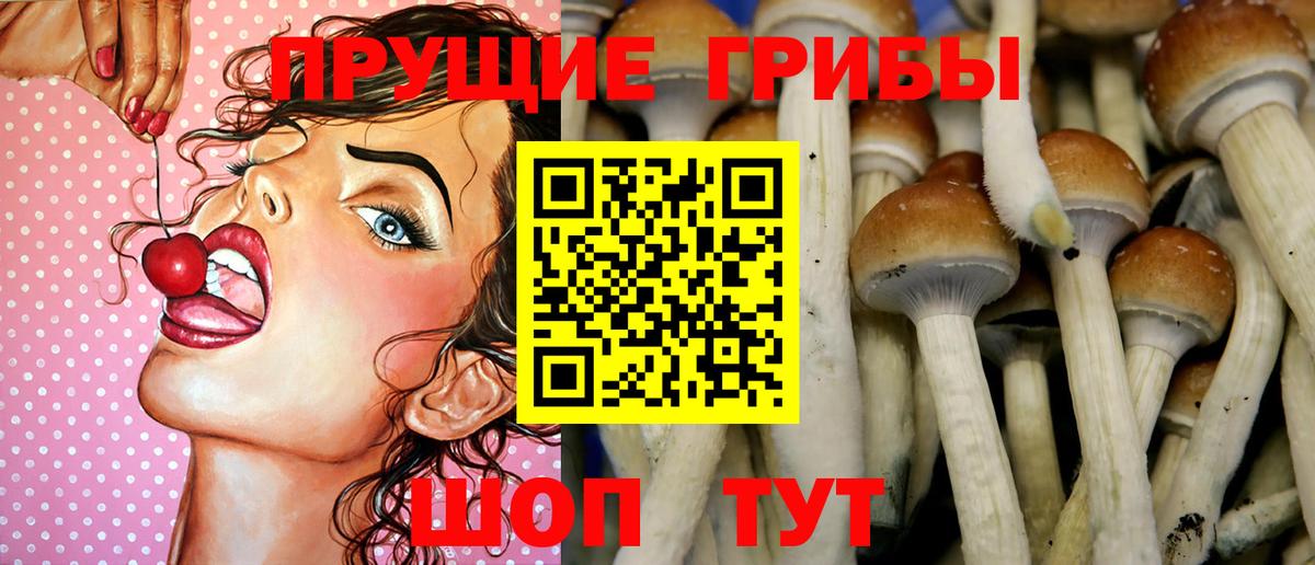 Галлюциногенные грибы MAGIC MUSHROOMS  Псилоцибиновые грибы GOLDEN TEACHER  Назрань  Вход с VPN 
